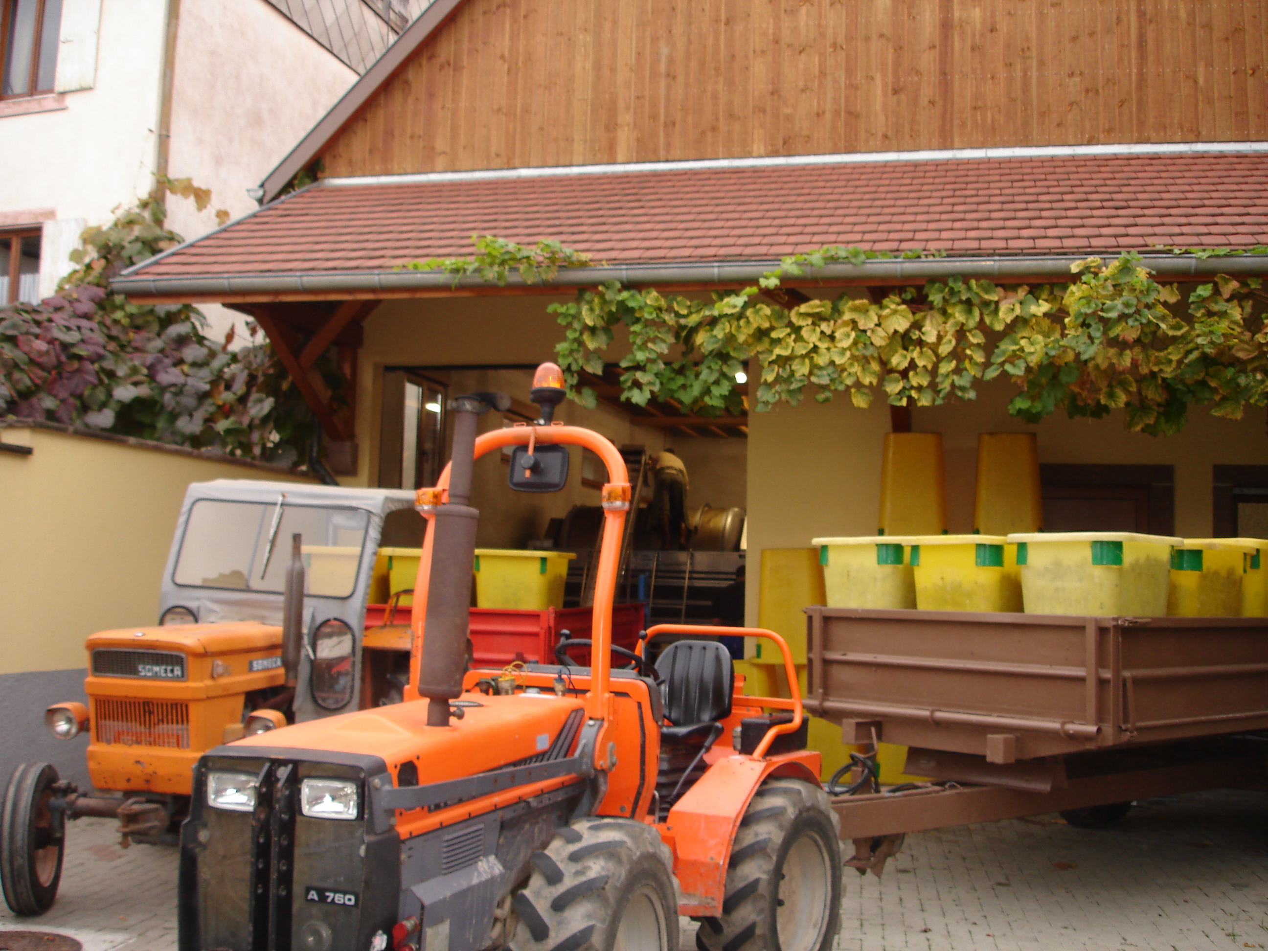 Vendanges