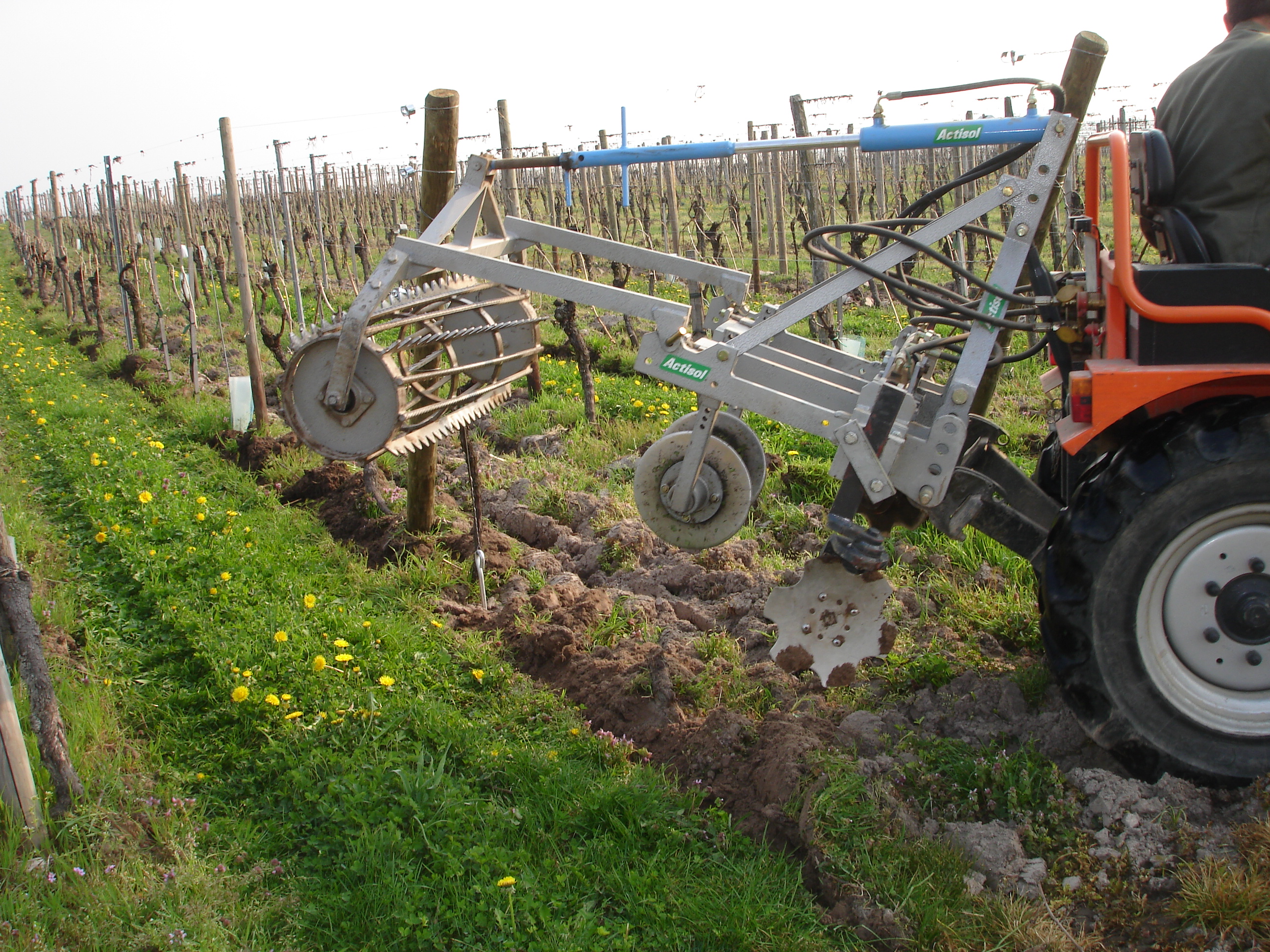 Travaux dans la vigne