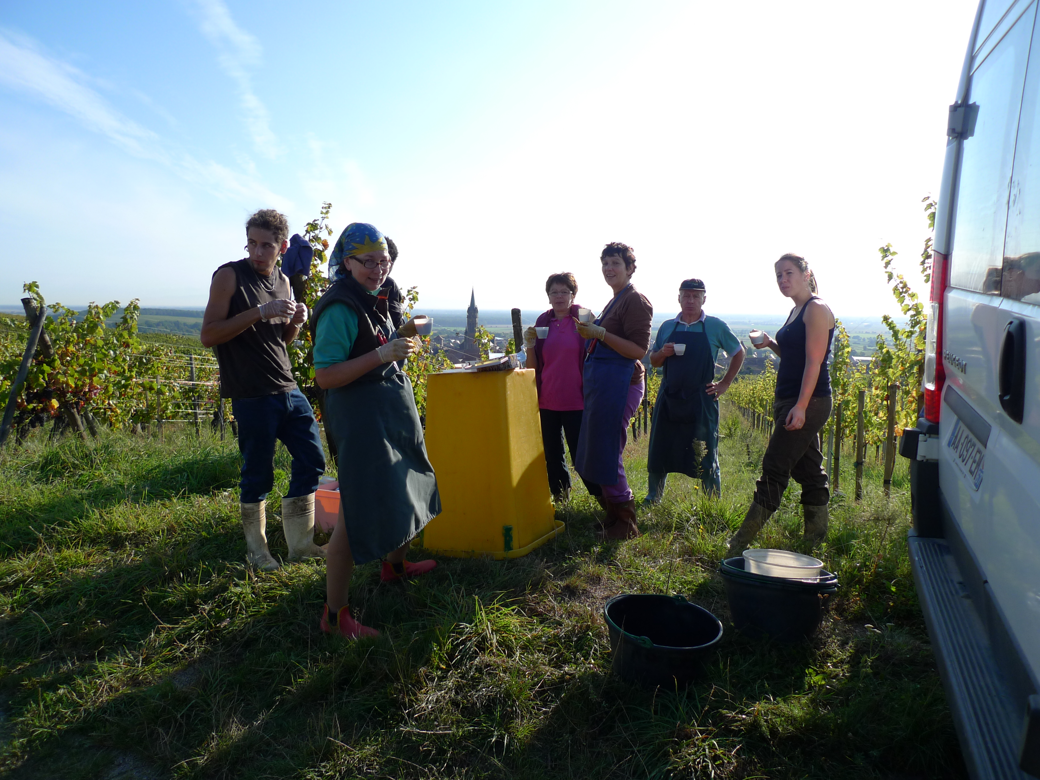 Pause des vendanges