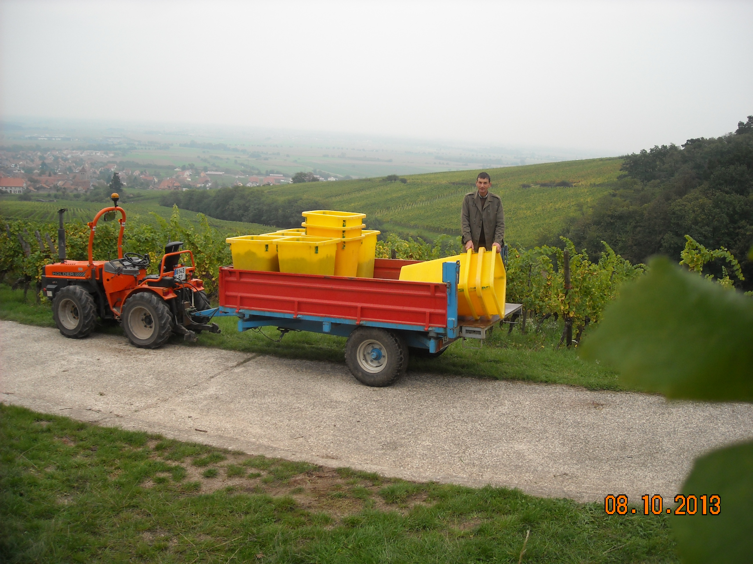 Sur les hauteur de Dambach...