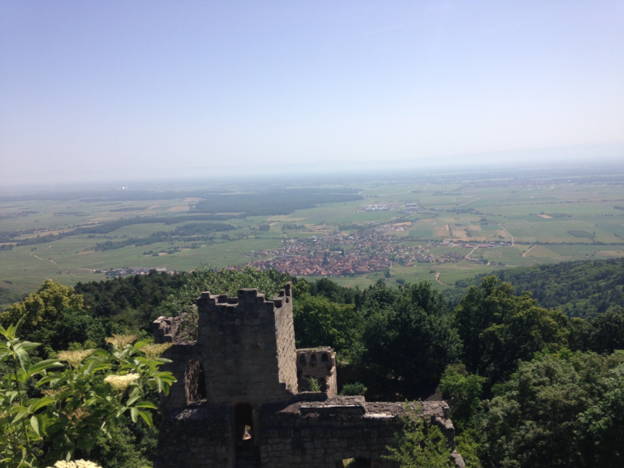 Château du Bernstein