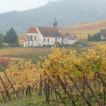 Accueil pendant les vendanges!