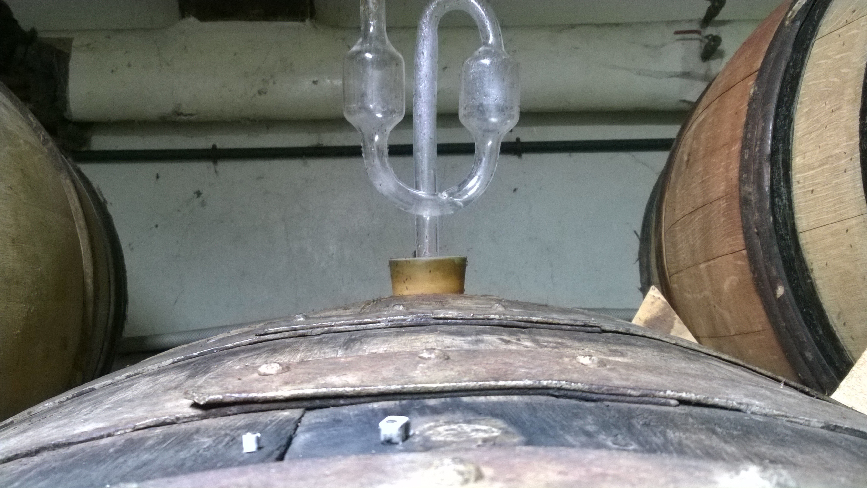 Siphon de fermentation