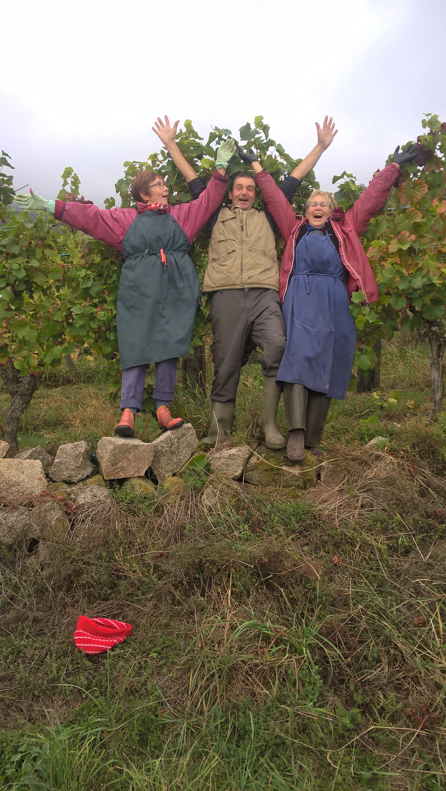 Le bonheur est dans les vignes