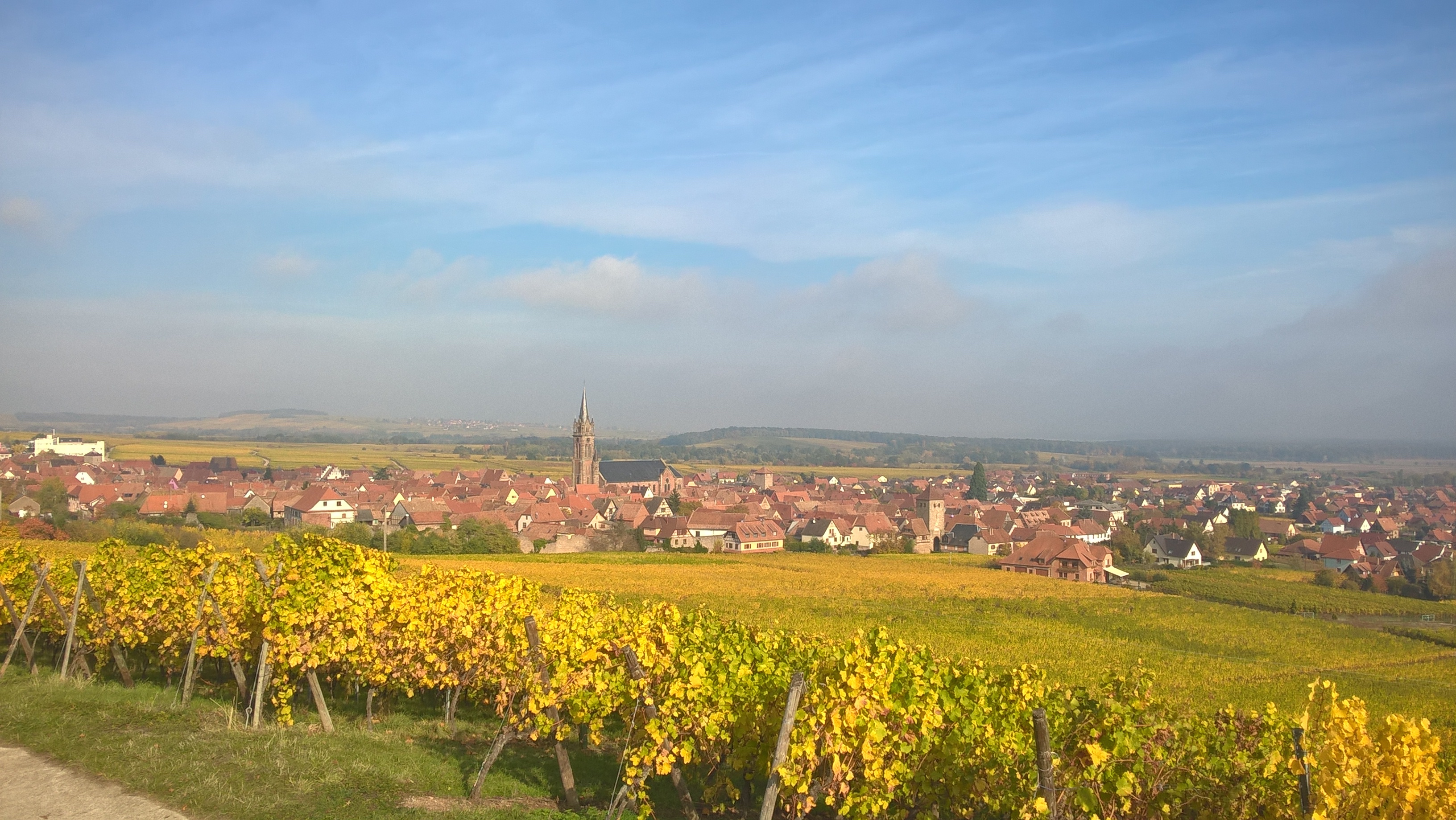 28 octobre 2016 quel beau soleil!